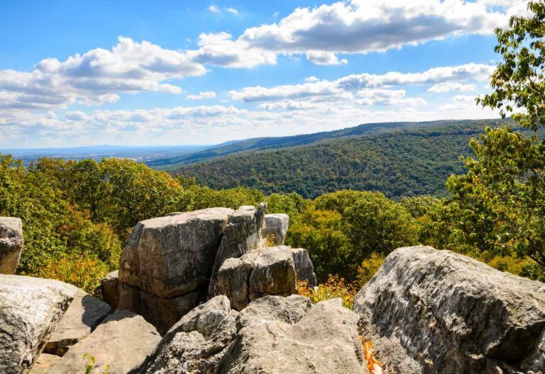 Catoctin Mountain Park - Joy Rahat Portraits